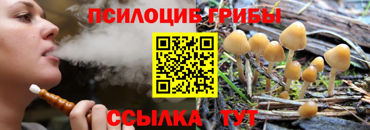 даркнет сайт  Вход с VPN  Артёмовский  Псилоцибиновые грибы Magic Shrooms  Галлюциногенные грибы Psilocybine cubensis 